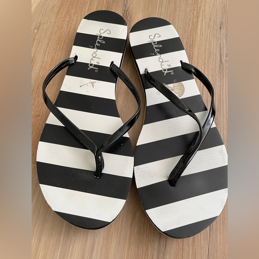 Splendid flip flops